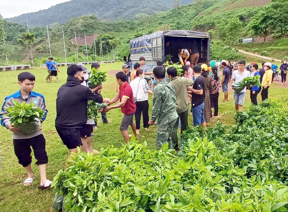 Trao tặng 33.000 cây xanh cho nhân dân xã Chà Nưa