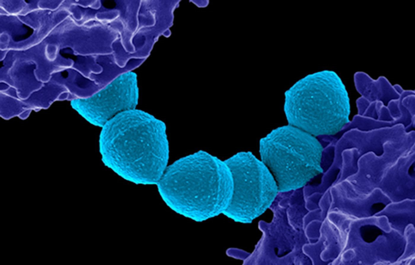 Nhật Bản tăng kỷ lục ca nhiễm vi khuẩn chết người