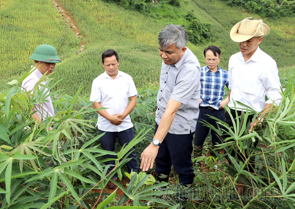 Phó Chủ tịch UBND tỉnh Lò Văn Tiến kiểm tra tình hình phát triển kinh tế - xã hội huyện Tủa Chùa