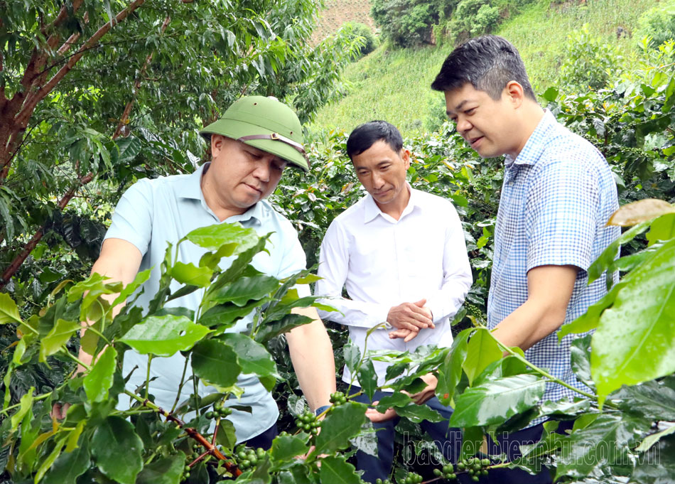 Tập trung đôn đốc, đẩy nhanh tiến độ giải ngân vốn đầu tư công 