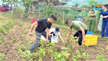 Thúc đẩy liên kết sản xuất nông nghiệp 